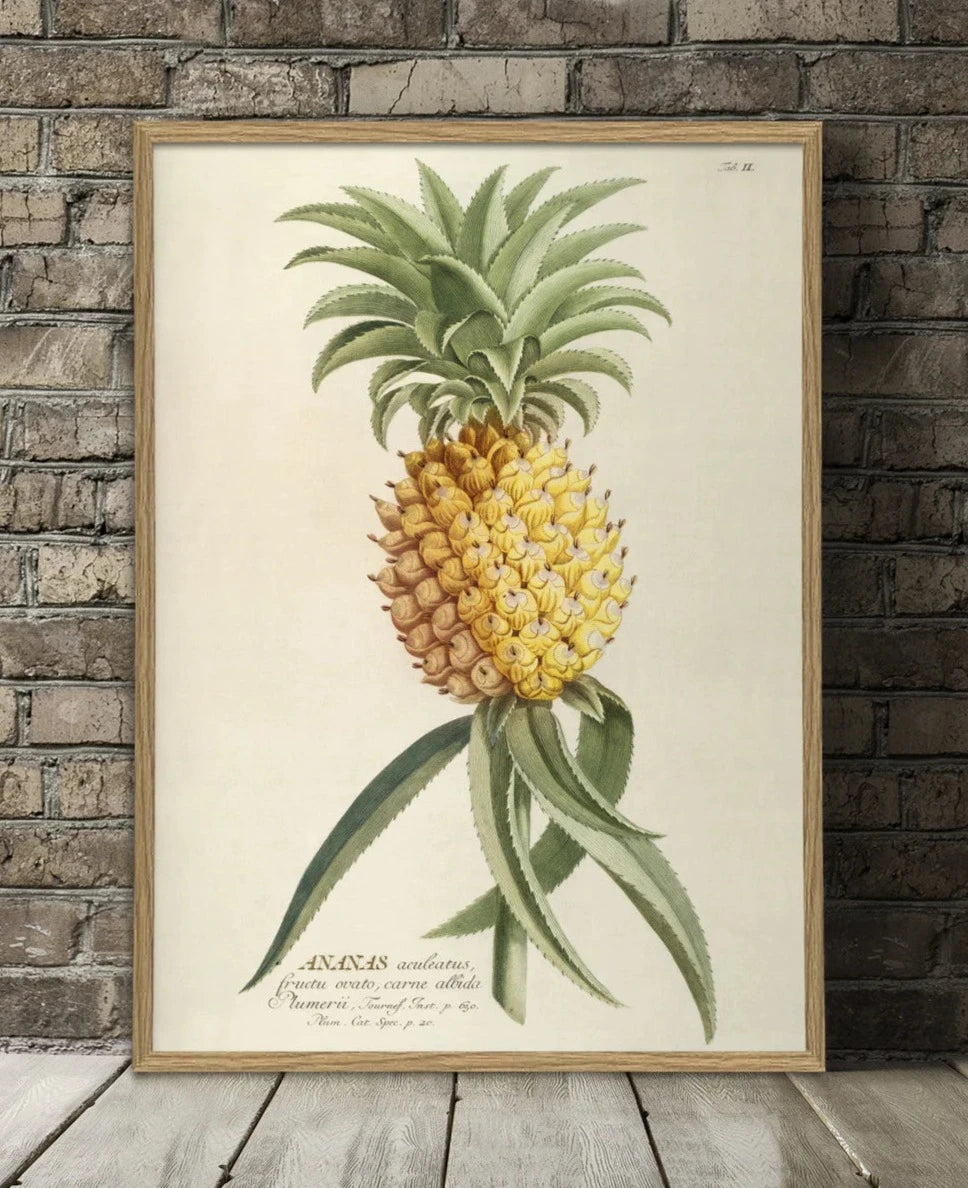 Ananas Print 50 x 70 cm