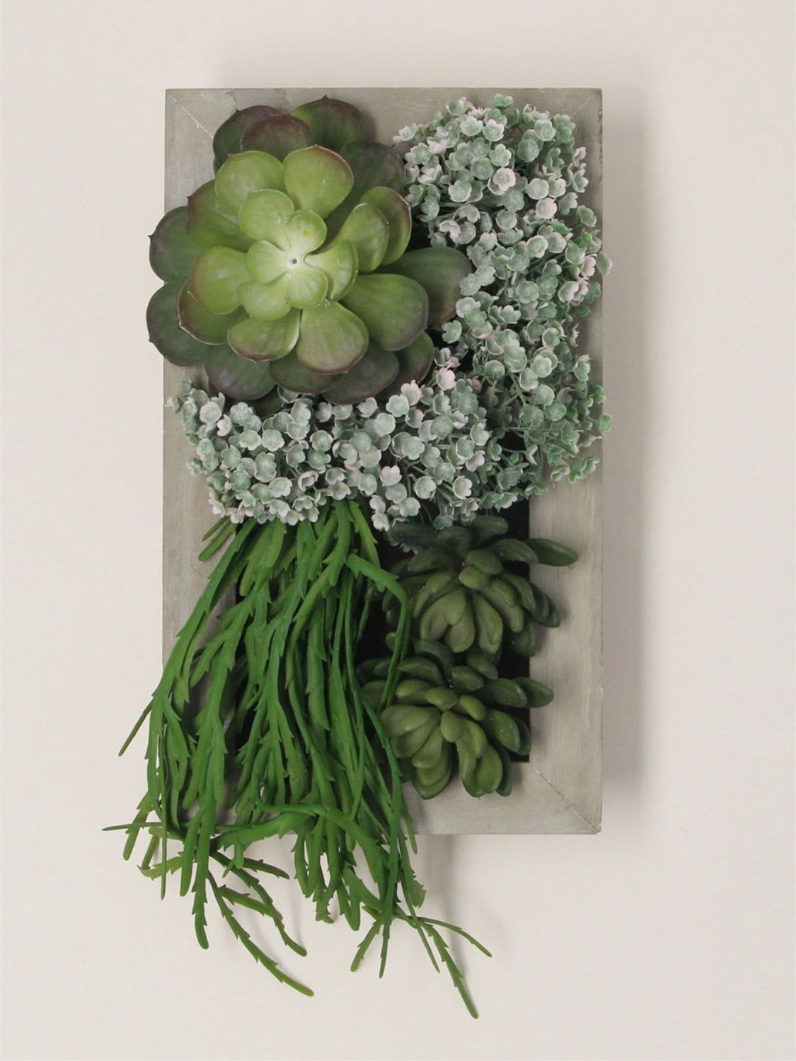 hanging succulent box Wall Hanging Succulent Box – Mrs Robinson