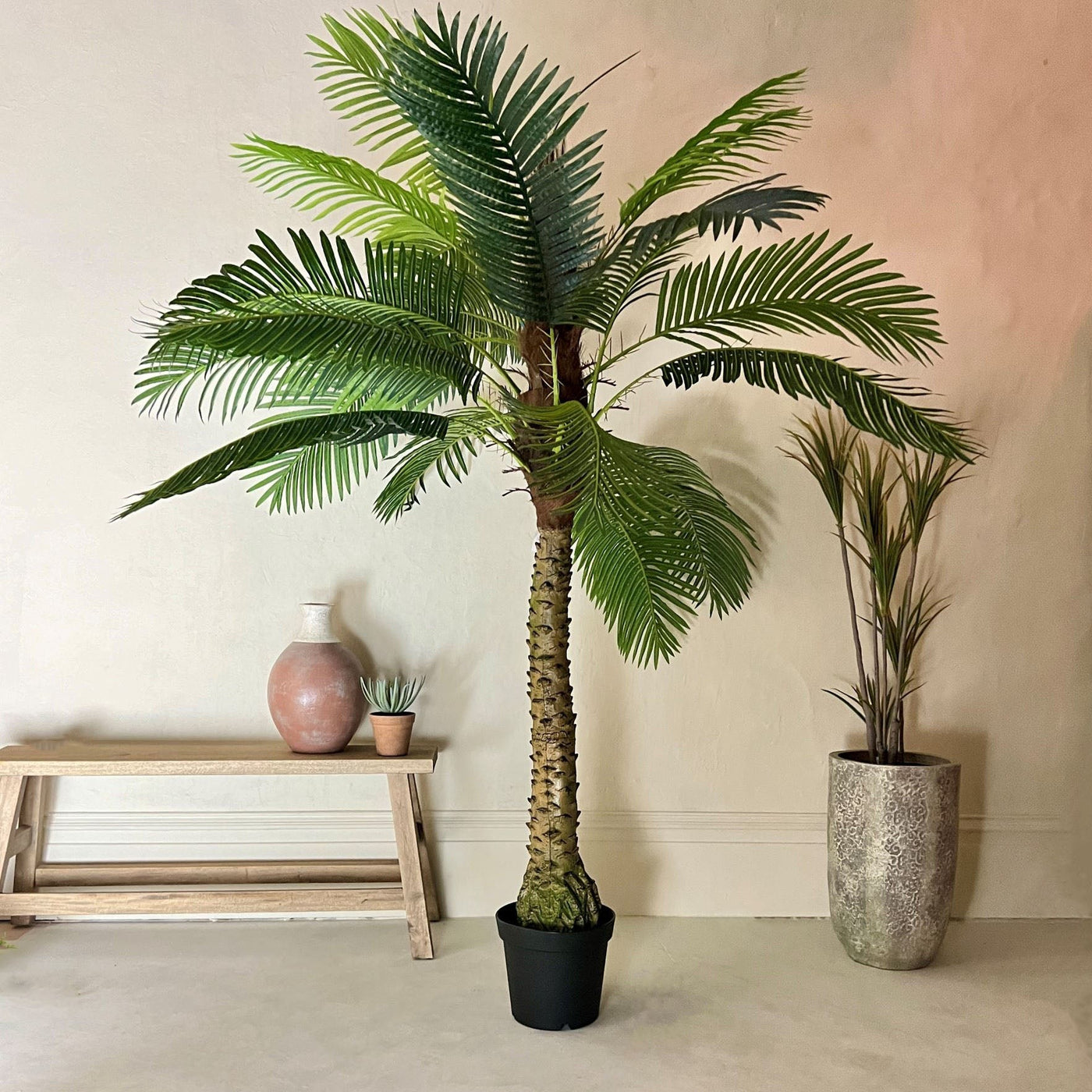 Ornamental Tropical Palm Tree in Black Pot-180cm