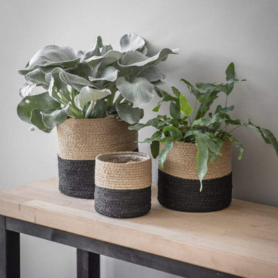 Woven Plant Pots - set 3
