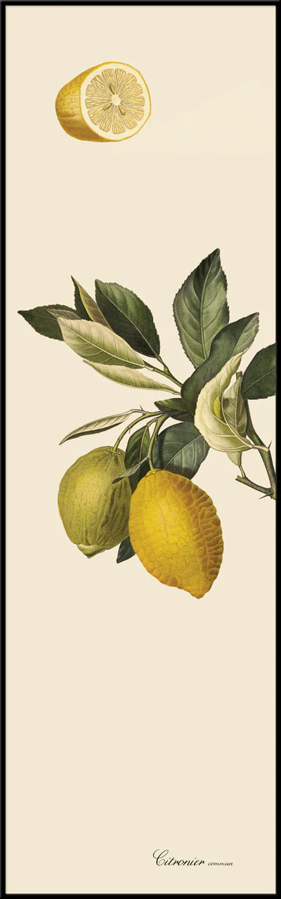 Large Lemon Slim Framed Print - 35 x 112cm