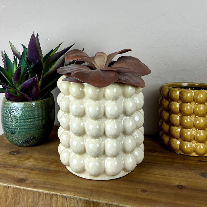 h&m bubble plant pot Cream Bobble Planter-Large – Mrs Robinson