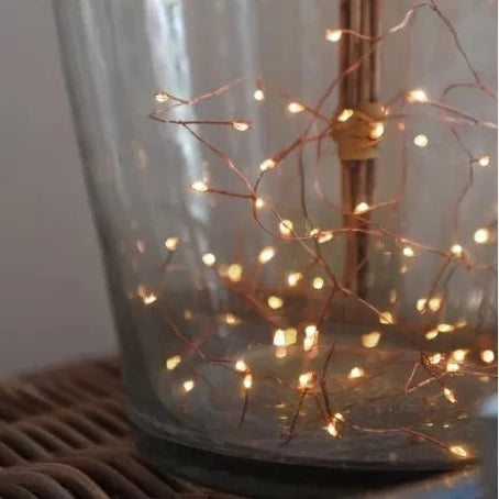 Copper Indoor/Outdoor Wire Fairy Lights- Battery