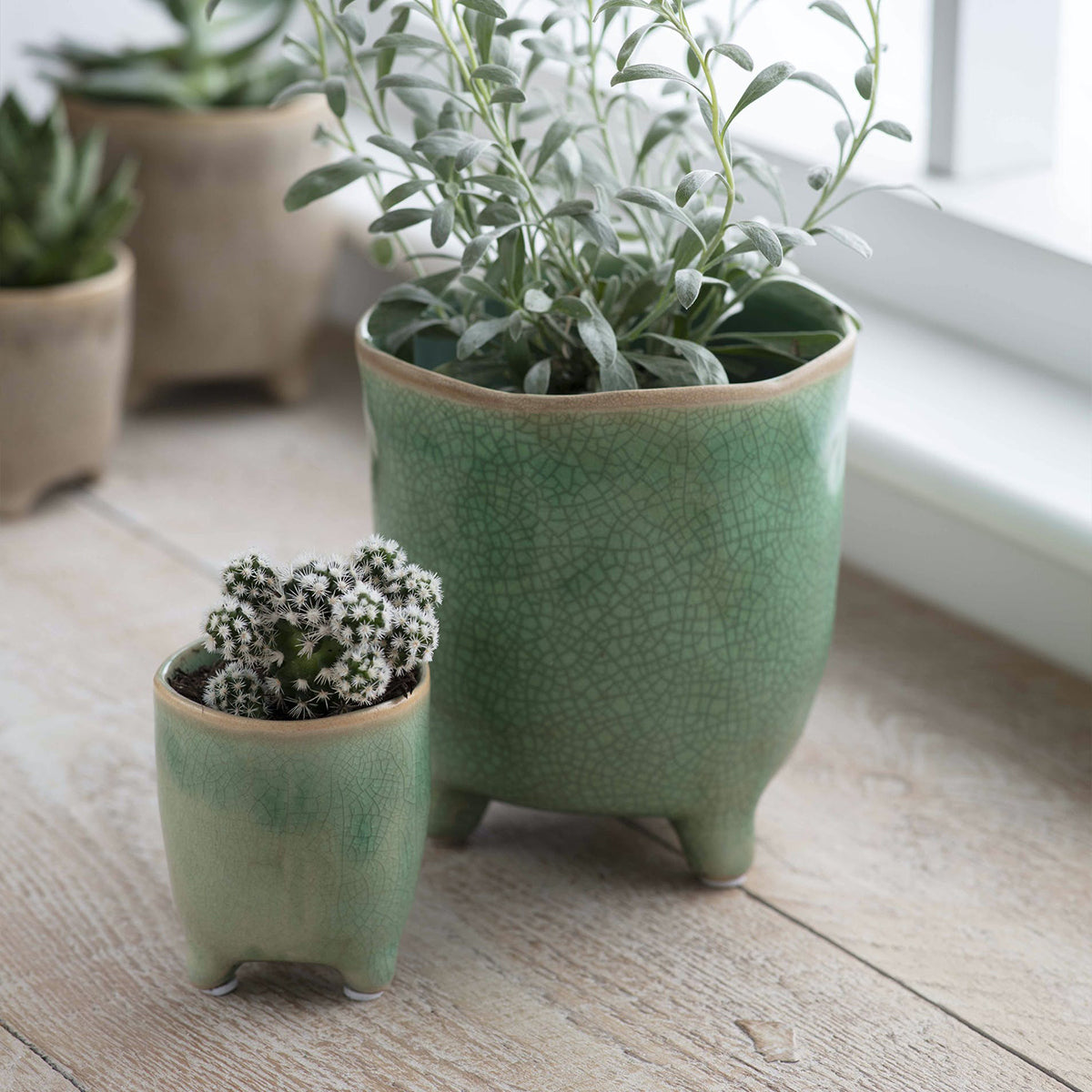small-positano-ceramic-pot-in-foliage-green-with-crackle-glaze-and-three-feet-Mrs-Robinson