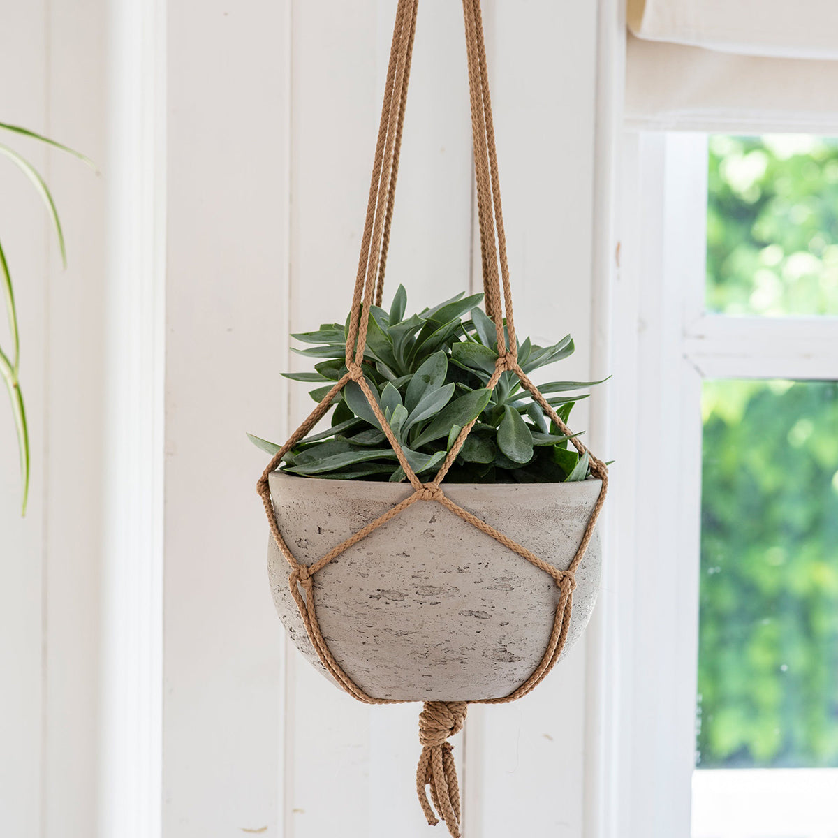 Cement Hanging Pot in Stone - Mrs Robinson