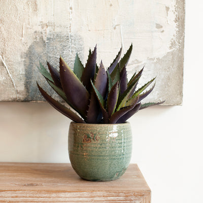 faux aloe in clay pot close up