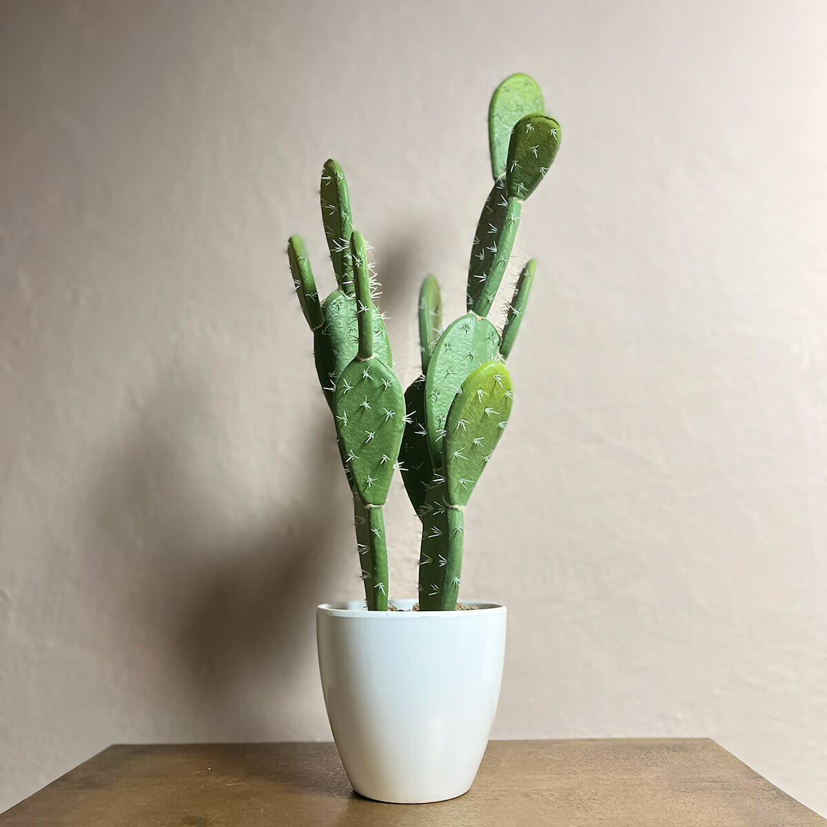 Large Artificial Cactus 60cm - Mrs Robinson