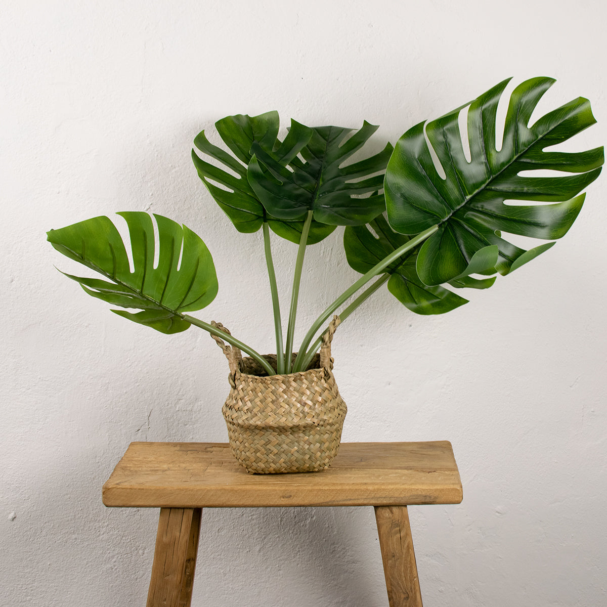 faux cheese plant in rattan basket