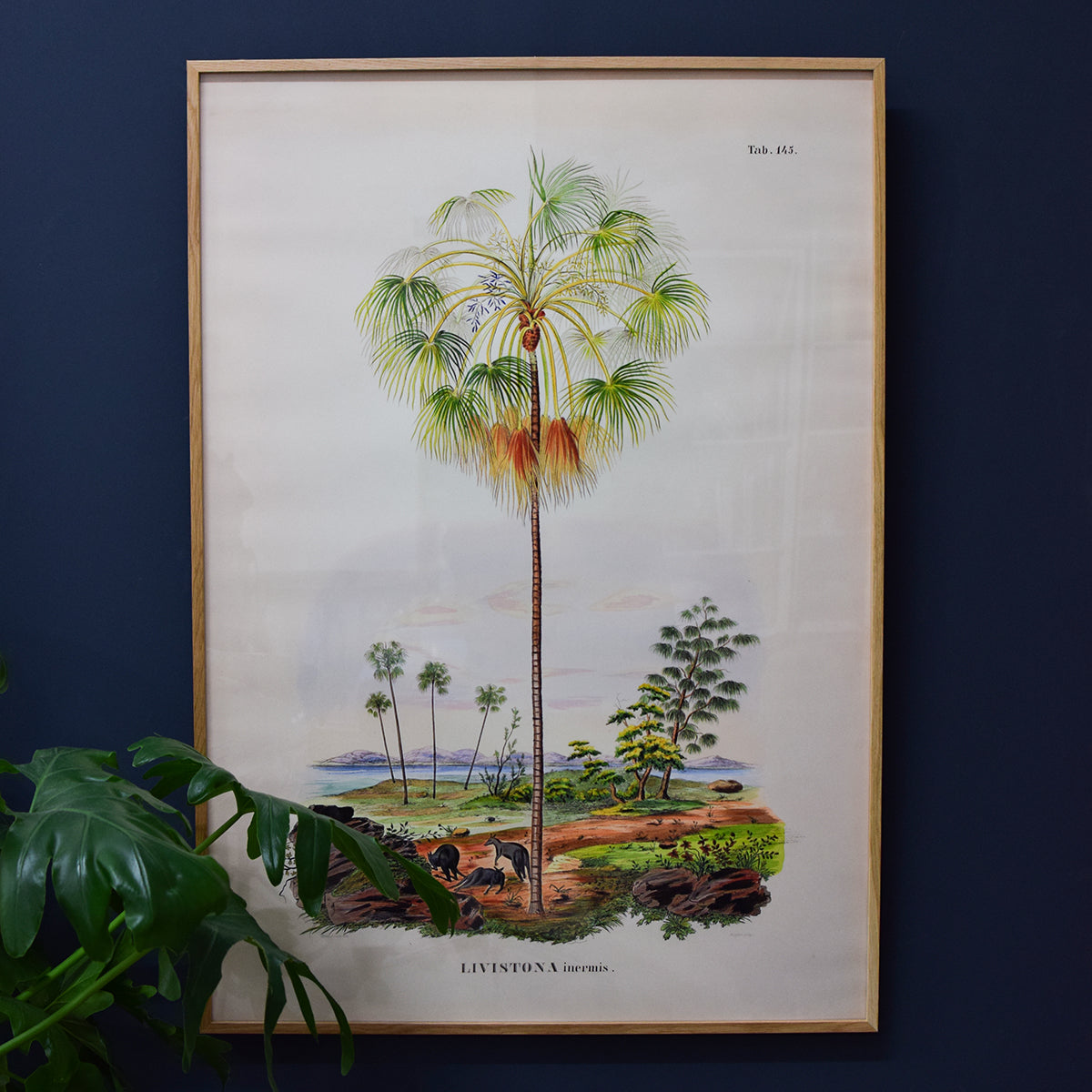 Livistona Retro Palm Print