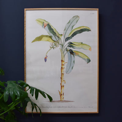 Banana Palm Print - 70 x 100 cm