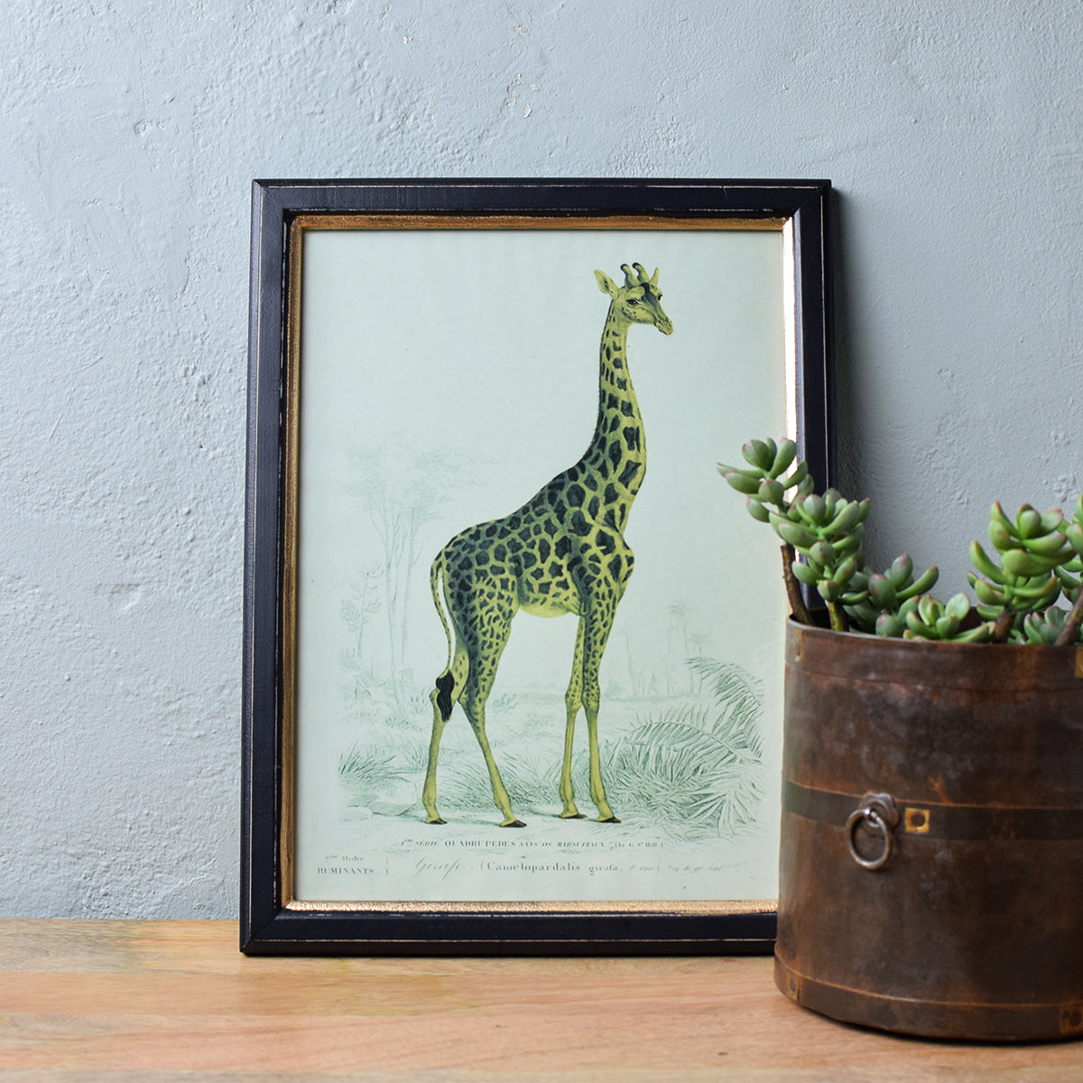 framed giraffe print detail