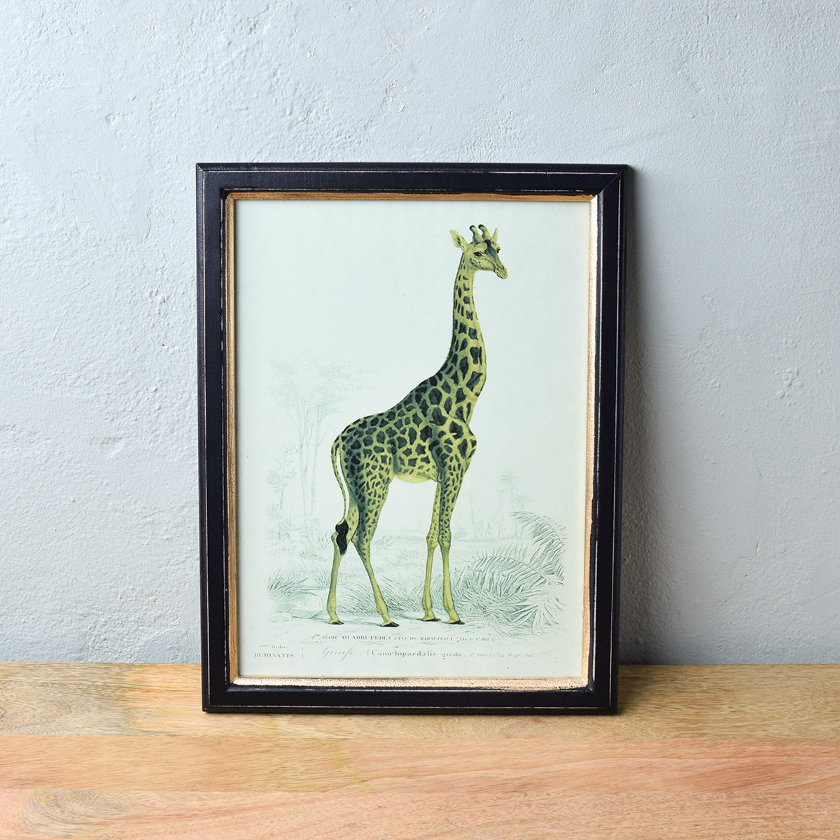 framed giraffe print
