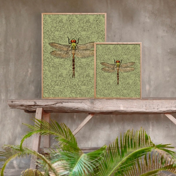 Dragonfly Print Green - Small