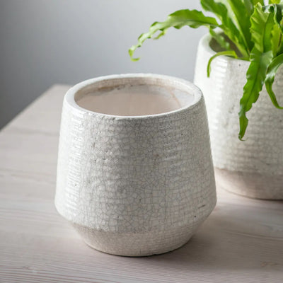 Ravello-Ridged-Pot-Planter-in-white-with-crackle-glaze-small
