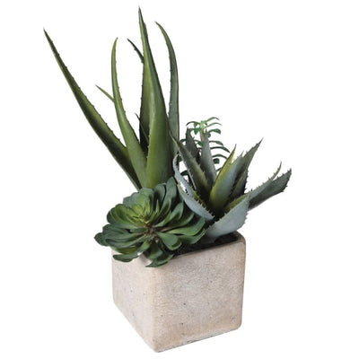 Assortment of Faux Cacti in Grey Pot