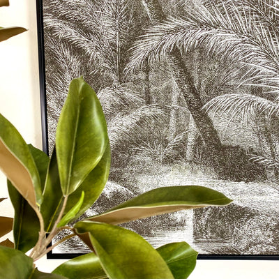 Palms Canvas Print 