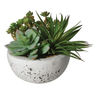 Faux Green Succulent Cement Pot - Mrs Robinson
