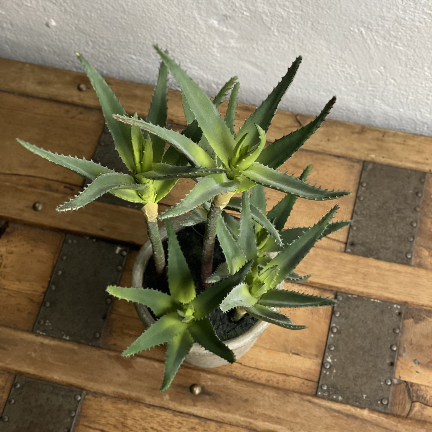 Stemmed Potted Aloe (faux)