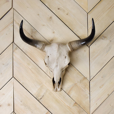 large-faux-bison-skull-with-black-horns