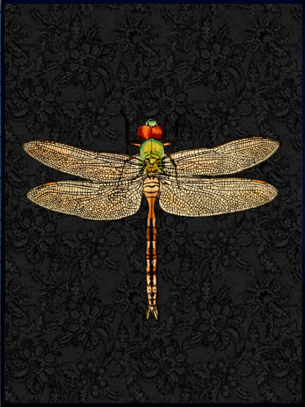 Dragonfly Print - Black Small