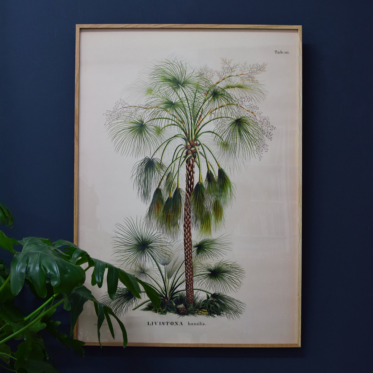 retro style palm print 50 x 70 cm