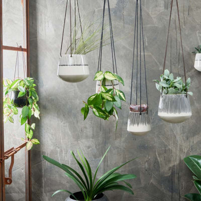 maba ceramic hanging planter large and small
