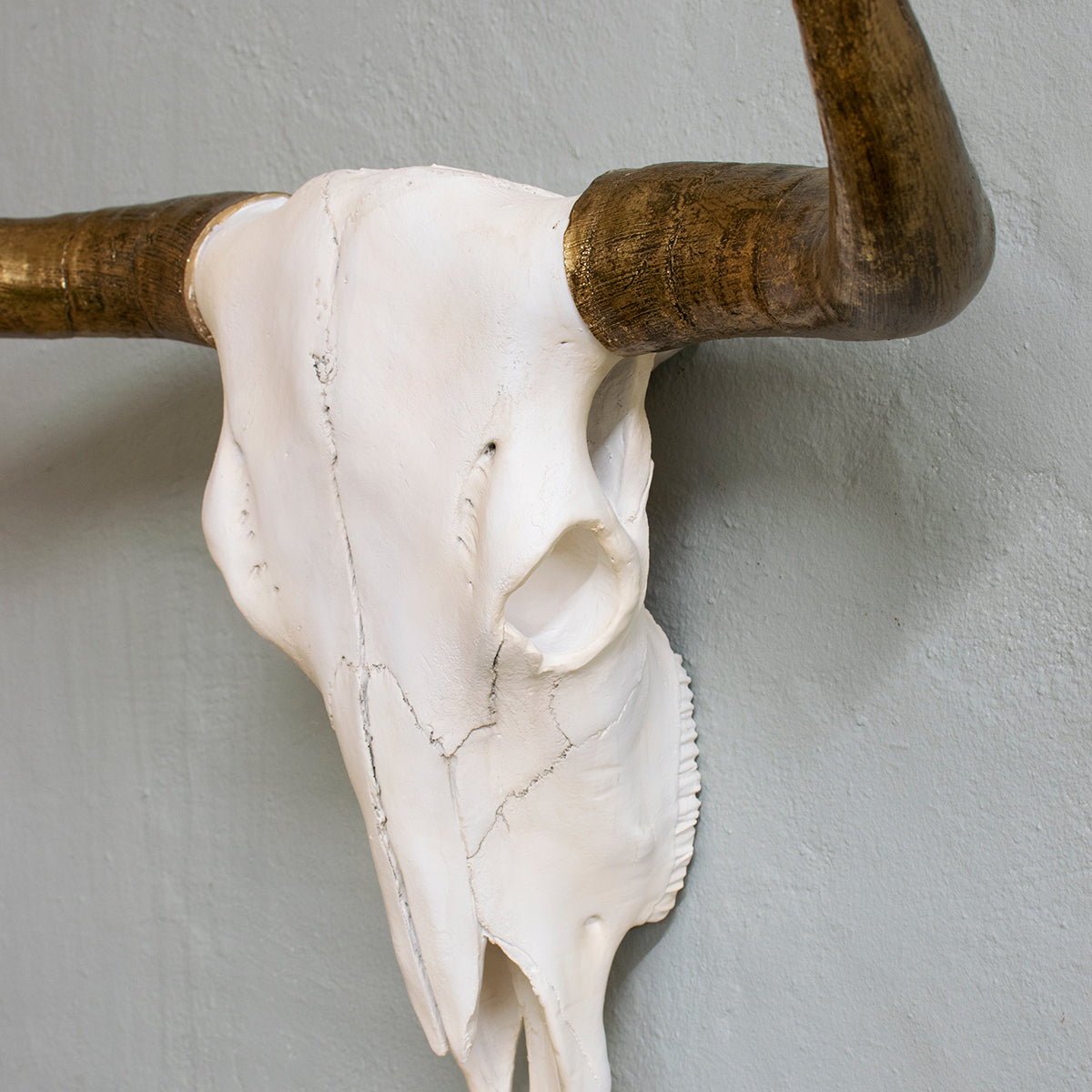 large-faux-bison-wall-skull-with-gold-horns