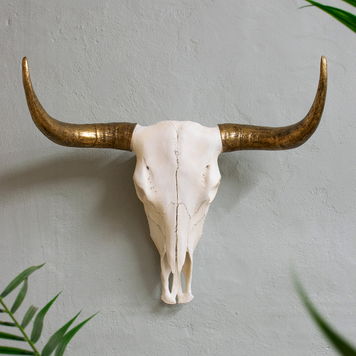 large-bison-skull-with-gold-horns
